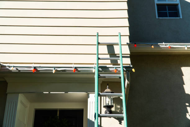 Best Dumpster Rental Services  in Williamsville, NY